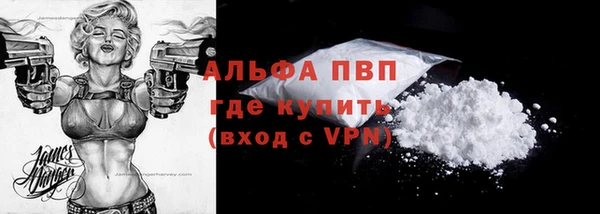 сатива Арсеньев