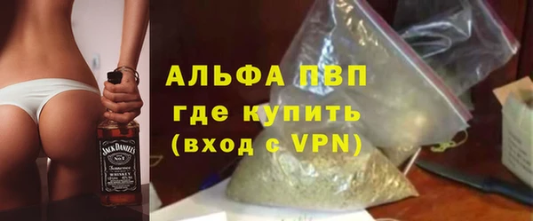 сатива Арсеньев