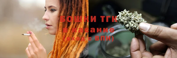 сатива Арсеньев