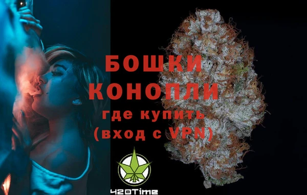 сатива Арсеньев