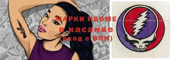 винт Аркадак