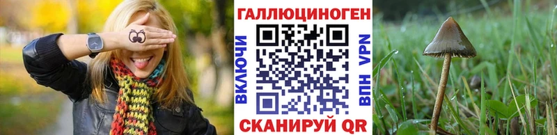 Галлюциногенные грибы GOLDEN TEACHER  Купить  Покров 